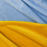 Мех искусственный для игрушек желтый