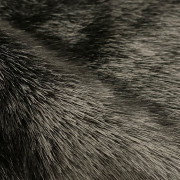 Мех искусственный Норка чёрная (Китай) Мех искусственный Норка чёрная (Китай)